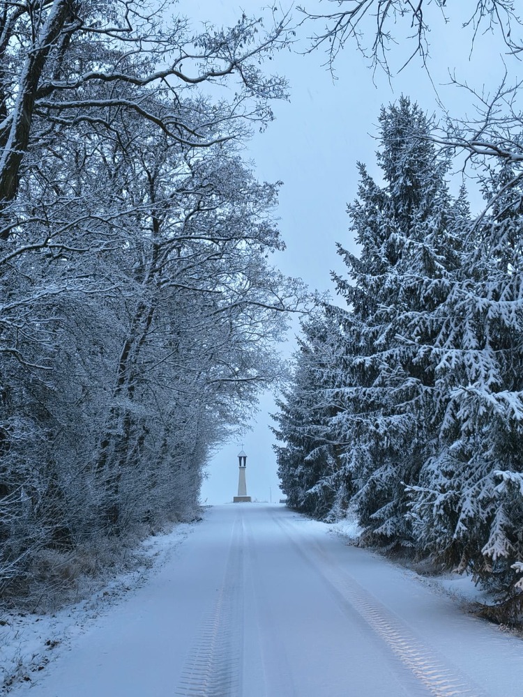 Měnič obrázků - fotografie