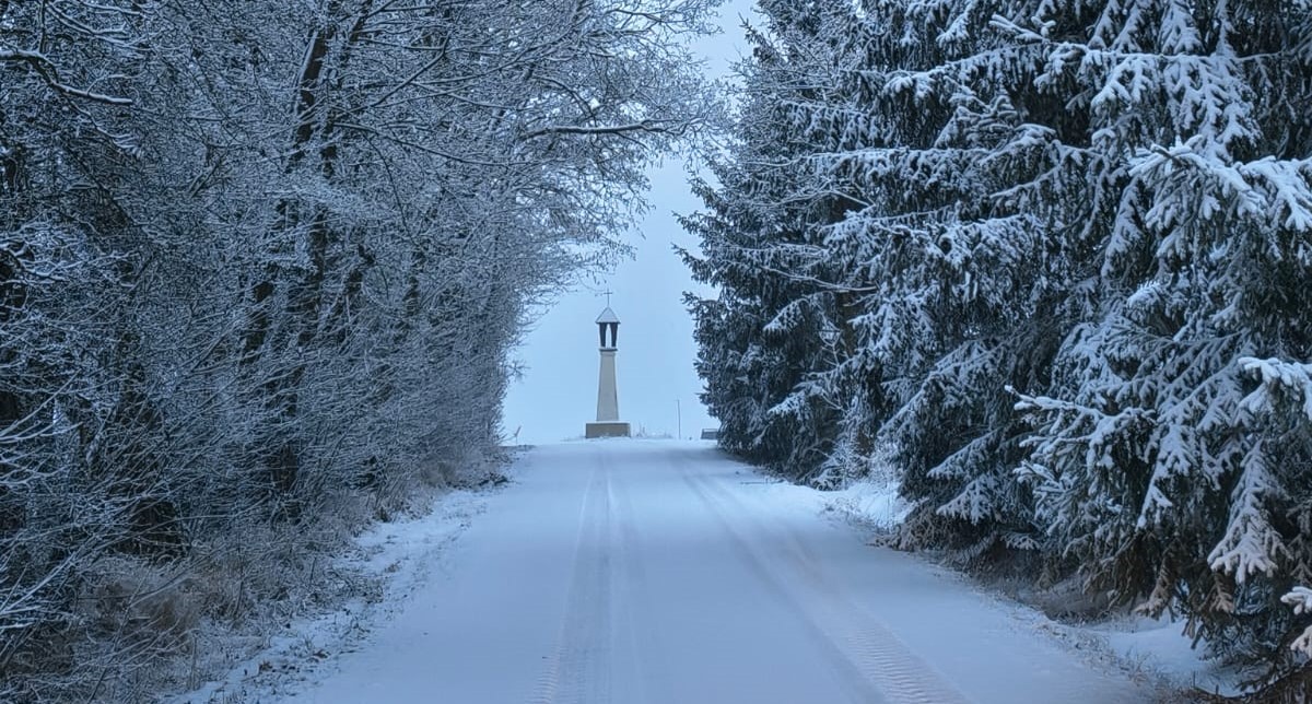 Měnič obrázků - fotografie