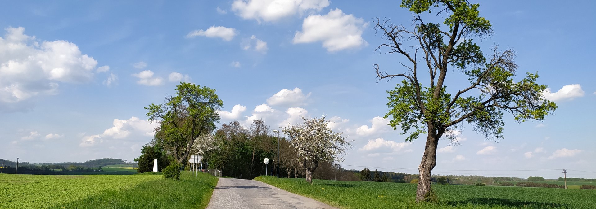 Měnič obrázků - fotografie