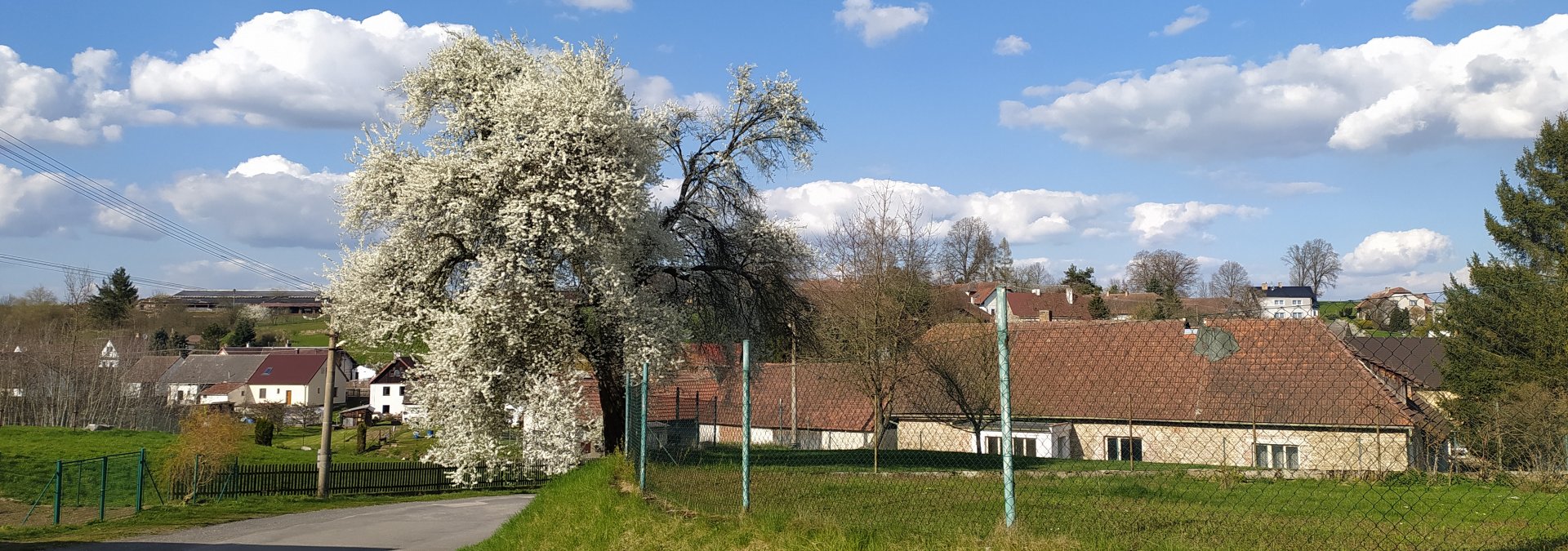 Měnič obrázků - fotografie