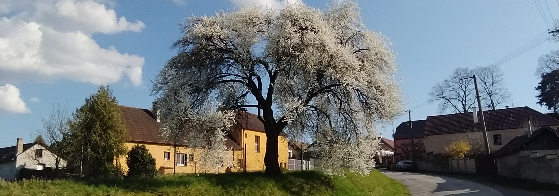 Měnič obrázků - fotografie