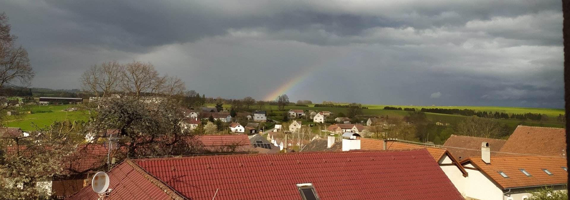 Měnič obrázků - fotografie