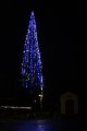 rozsvícení vánočního stromu